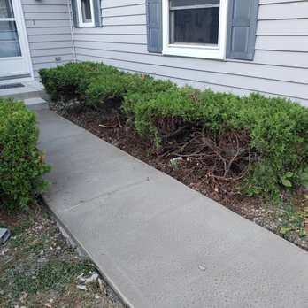 Dressler Block Concrete Inc - New sidewalk and damaged bushes - Masonry/Concrete Near Me - Plainfield, Illinois