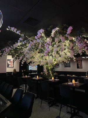 ITA KITCHEN - GARDEN CITY - 225 Photos & 85 Reviews - 9 Nassau Blvd