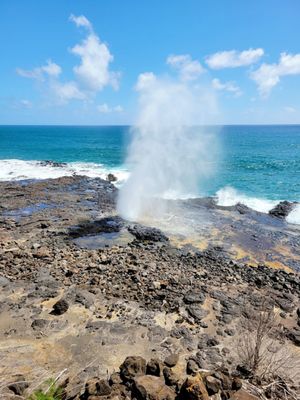 Spouting Horn by null