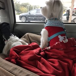 Gate Petroleum - Are we home yet ?