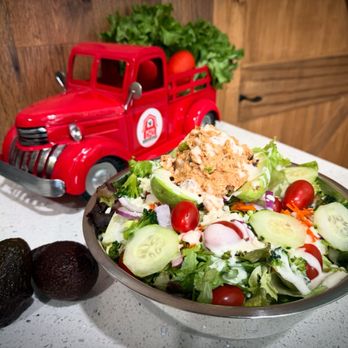 Chicken Salad Coop - Stuffed avocado - Salad Near Me - Houston, Texas