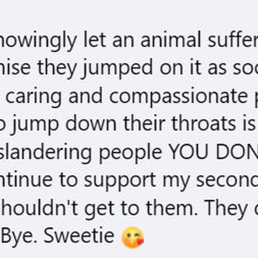 Tri-County Humane Society - Their vet tech's comments - Animal Shelters Near Me - St. Cloud, Minnesota Tri-County Humane Society - Their vet tech's comments - Animal Shelters Near Me - St. Cloud, Minnesota