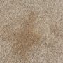 Photo of Heaven's Best Carpet Cleaning