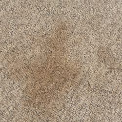 Heaven's Best Carpet Cleaning - This is how they left my carpet