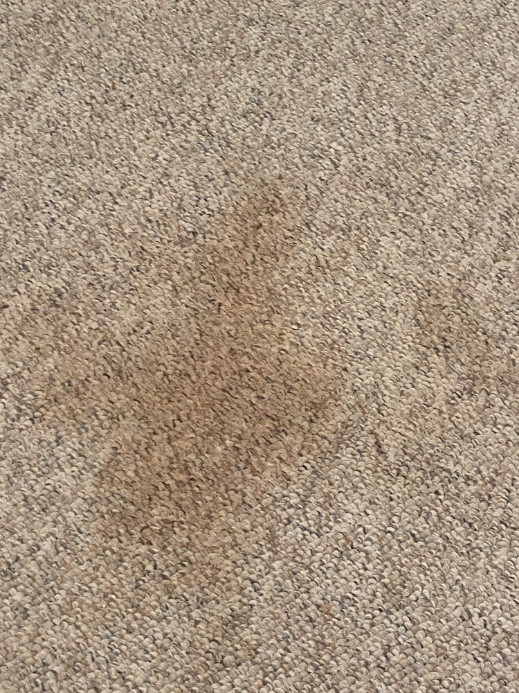 HEAVEN’S BEST CARPET CLEANING Trexlertown, Pennsylvania Home