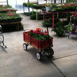 Skyview Landscape Nursery - One of our Five greenhouses
