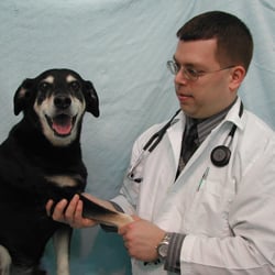 Suffolk Veterinarian Group - Dr. Winkler and his friend Jack