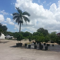 Fuller's Farmers Market at Spyke's Grove - They are located next doors to one of the most awesome nurseries in Broward.