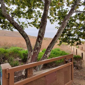 Quail Hill Community Park - Hiking Near Me - Irvine, California Quail Hill Community Park - Hiking Near Me - Irvine, California