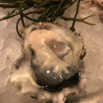 Lure Fishbar - Oysters!! - Seafood Near Me - New York, New York Lure Fishbar - Oysters!! - Seafood Near Me - New York, New York