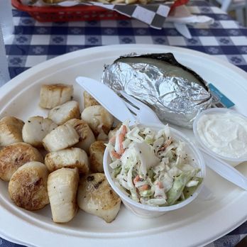 The Black Cat Tavern - grilled Sea Scallops - Seafood Near Me - Hyannis, Massachusetts