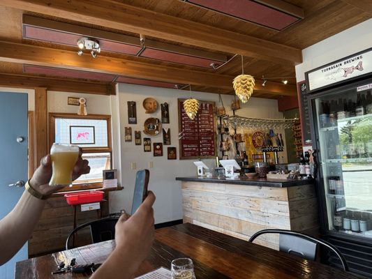 Turnagain Brewing by null