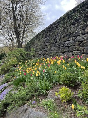 Fort Tryon Park by null