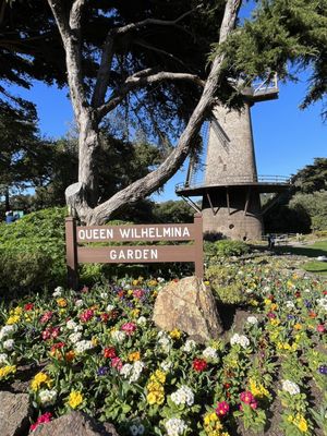 Dutch Windmill by null