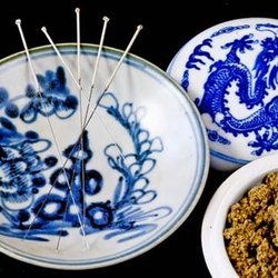Blue Lotus Acupuncture - Untitled