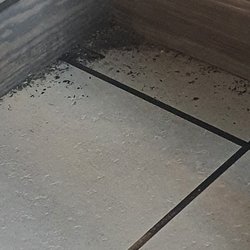 The floor under our table, turned me right off...