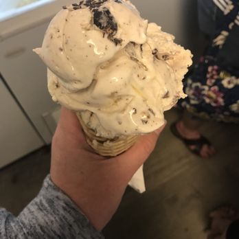 Orange Octopus - Ice Cream & Frozen Yogurt Near Me - Sarasota, Florida Orange Octopus - Ice Cream & Frozen Yogurt Near Me - Sarasota, Florida