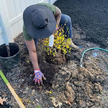 AVI & Ade lawn services - a man planting a tree - Lawn Services Near Me AVI & Ade lawn services - a man planting a tree - Lawn Services Near Me