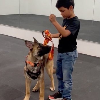 Primal Canine - Training - Pet Training Near Me - Gilroy, California