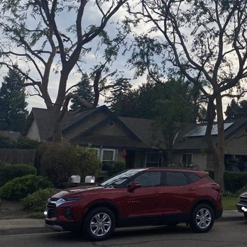 Visalia Landscape and Tree Company - After -2 large trees - Landscaping Near Me - Visalia, California Visalia Landscape and Tree Company - After -2 large trees - Landscaping Near Me - Visalia, California