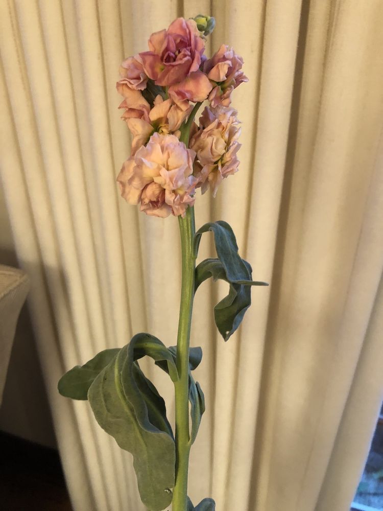 LIBERTYVILLE FLORIST with photos Updated August 2024 38 Photos & 20