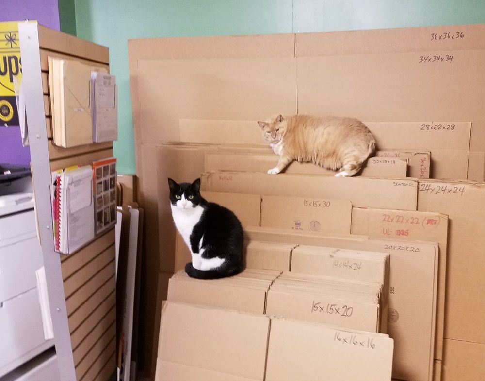 POPCORN PACKERS POSTAL & SHIPPING CENTER Updated October 2024 12 Photos 1 Cherry St