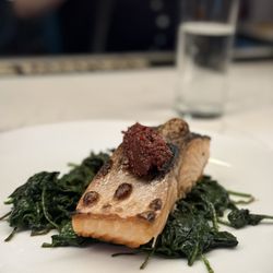Sorella - Salmon