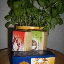 Unter´m Hollerbusch - Gewürzblüten-Sortiment