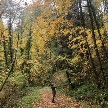 Forest Park - Parks Near Me - Portland, Oregon