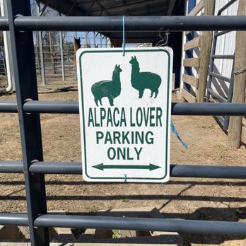 Rainbow Magic Alpaca Farm - Fun sign - Attraction Farms Near Me - Greensboro, North Carolina Rainbow Magic Alpaca Farm - Fun sign - Attraction Farms Near Me - Greensboro, North Carolina