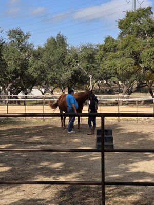 Doringcourt  Stables