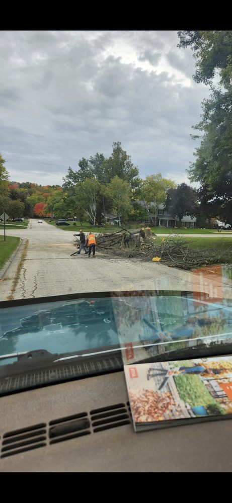 Shade Tree - tree service in Milwaukee, WI