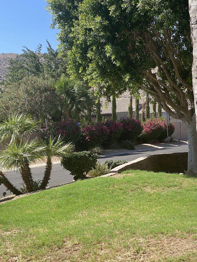 Slide of Chandler Lawn & Gardens