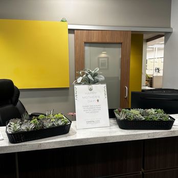 Piña Succulents - We used the plants for patient gifts at our office. - Nurseries & Gardening Near Me - Valley Center, California