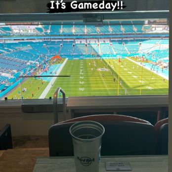 Miami Dolphins - Best view - Professional Sports Teams Near Me - Opa Locka, Florida
