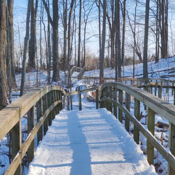 Rattray Marsh - Hiking Near Me - Mississauga, Ontario