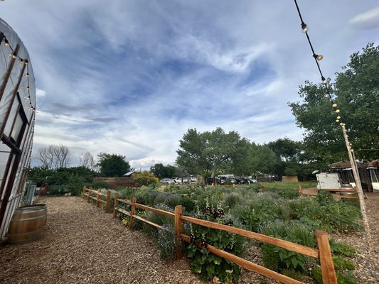 Farm & Table by null