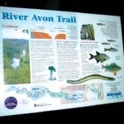 River Avon Trail - 'Interpretation Board' shown on Website