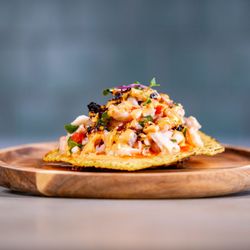 user provided Bibisol photo