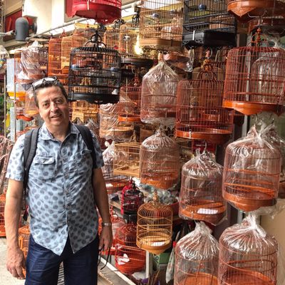 Yuen Po Street Bird Garden by null