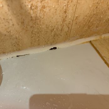 Meliá White House - Shower mold - Hotels Near Me - London, XGL