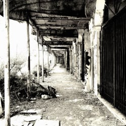 Consonno