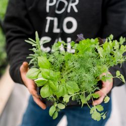 Full Heart Farm - Spring Seedling Sale