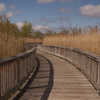 East Bay Bike Path - Audubon Society Board Walk - Parks Near Me East Bay Bike Path - Audubon Society Board Walk - Parks Near Me