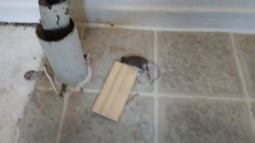 HAWTHORNE APTS Updated June 2024 5315 W 120th Ter, Leawood, Kansas Apartments Phone