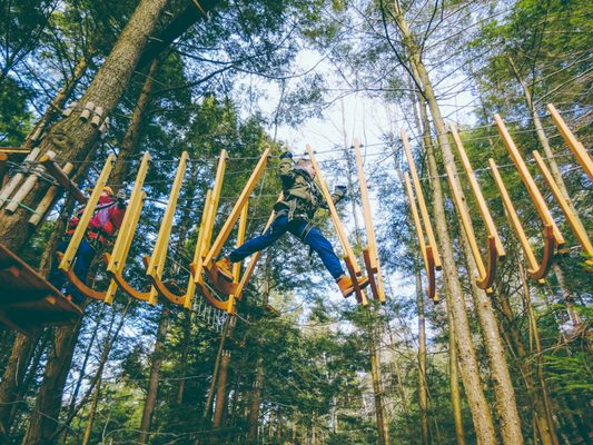 Ramblewild Adventure Park by null