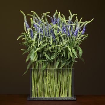Exquisite Blumen - Gift Shops Near Me - Langley, Washington