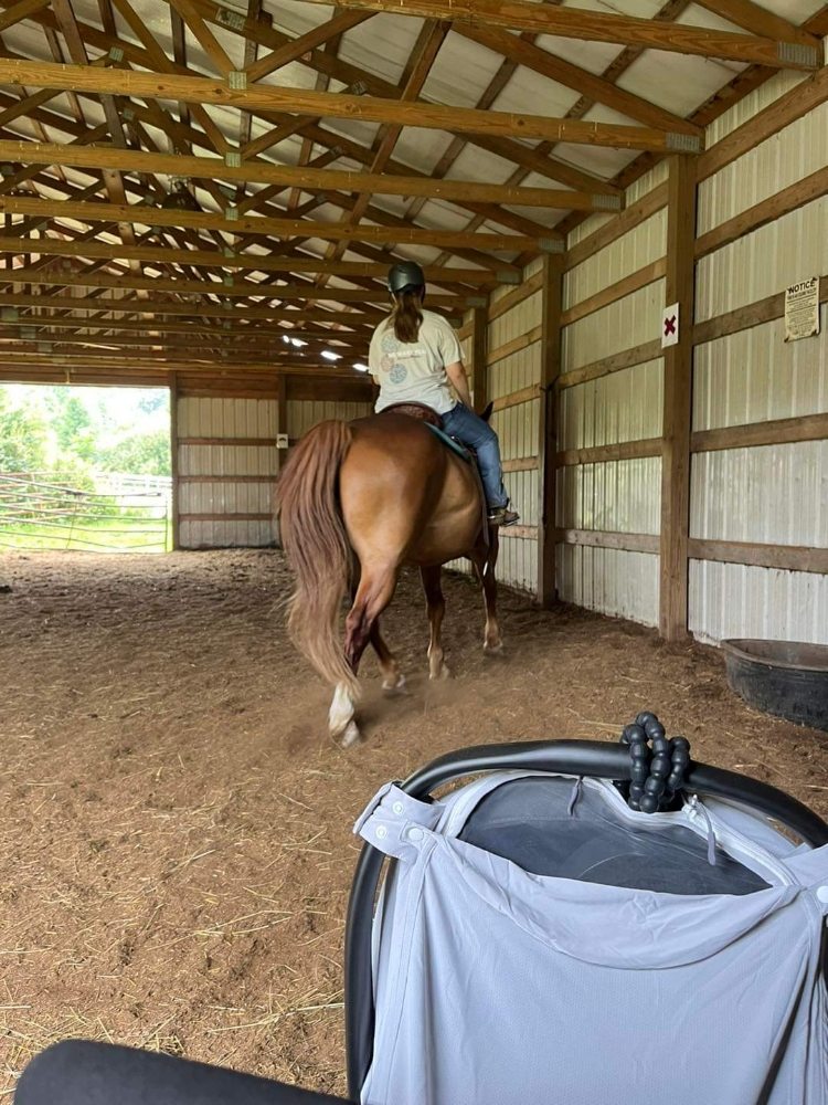 HW Acres - equestrian in Troy, MO