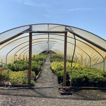 Greenland Nursery - Nurseries & Gardening Near Me - Hubbard, Oregon Greenland Nursery - Nurseries & Gardening Near Me - Hubbard, Oregon