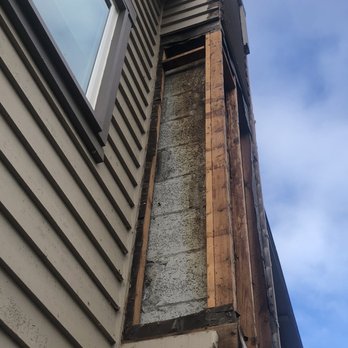 Bee Friendly Honey - Pest Control Near Me